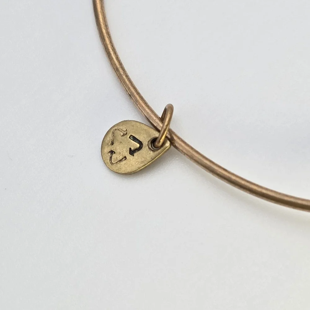 ALEX & ANI 'Initial H' Expandable Bangle Bracelet in Rafaelian Gold Made In‎ USA
